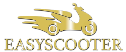 EasyScooter — Concessionario Veleco Italia